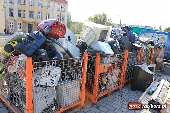 Zdjęcie w galerii na portalu naszraciborz.pl: Za zużyty sprzęt otrzymali sadzonki i świetlówki wiadomości z regionu
