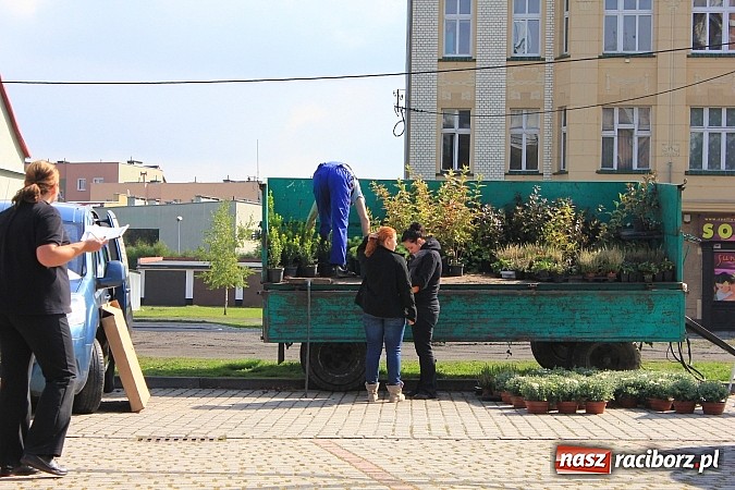 Zdjęcie w galerii na portalu naszraciborz.pl: Za zużyty sprzęt otrzymali sadzonki i świetlówki wiadomości z regionu