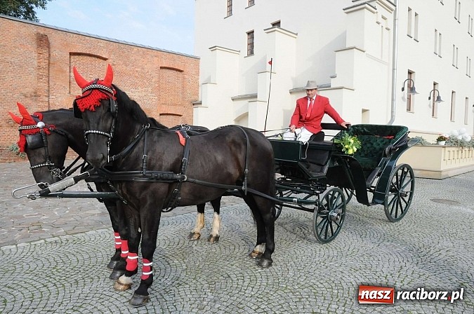 Zdjęcie w galerii na portalu naszraciborz.pl: W cztery godziny przeszli Szlakiem Husarii i Sobieskiego z Raciborza do Rud wiadomości z regionu