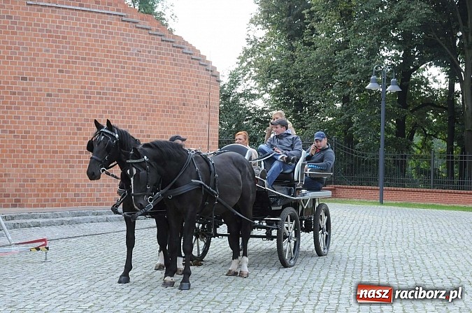 Zdjęcie w galerii na portalu naszraciborz.pl: W cztery godziny przeszli Szlakiem Husarii i Sobieskiego z Raciborza do Rud wiadomości z regionu