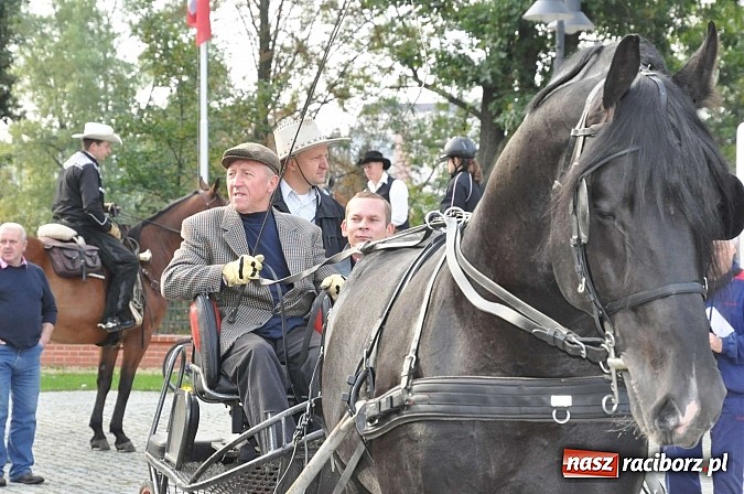 Zdjęcie w galerii na portalu naszraciborz.pl: W cztery godziny przeszli Szlakiem Husarii i Sobieskiego z Raciborza do Rud wiadomości z regionu