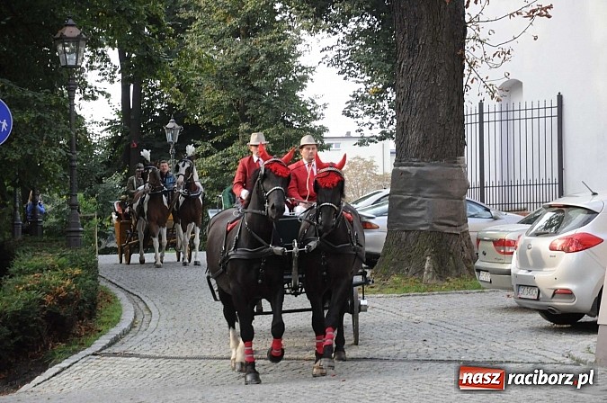 Zdjęcie w galerii na portalu naszraciborz.pl: W cztery godziny przeszli Szlakiem Husarii i Sobieskiego z Raciborza do Rud wiadomości z regionu