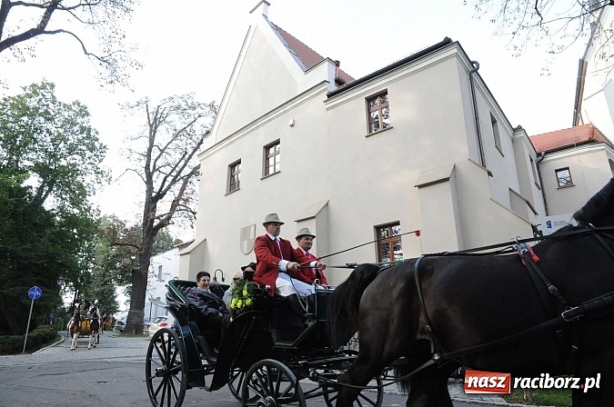 Zdjęcie w galerii na portalu naszraciborz.pl: W cztery godziny przeszli Szlakiem Husarii i Sobieskiego z Raciborza do Rud wiadomości z regionu