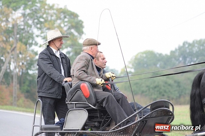 Zdjęcie w galerii na portalu naszraciborz.pl: W cztery godziny przeszli Szlakiem Husarii i Sobieskiego z Raciborza do Rud wiadomości z regionu