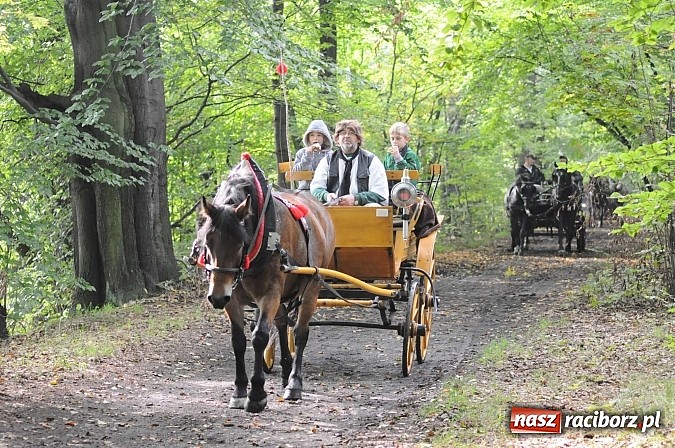 Zdjęcie w galerii na portalu naszraciborz.pl: W cztery godziny przeszli Szlakiem Husarii i Sobieskiego z Raciborza do Rud wiadomości z regionu