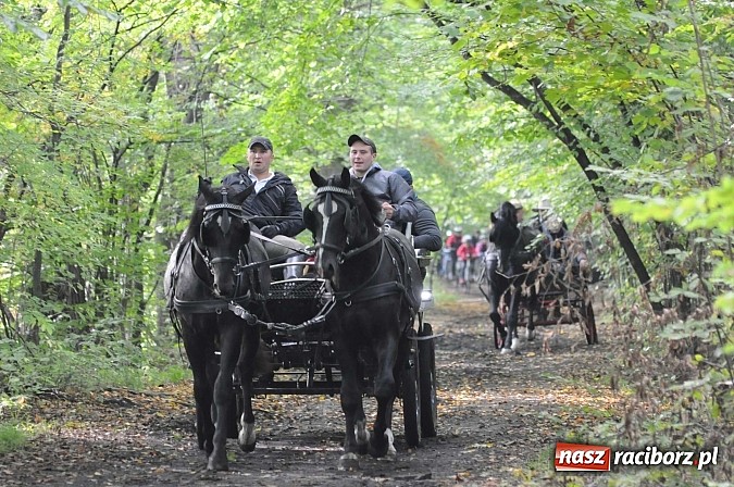 Zdjęcie w galerii na portalu naszraciborz.pl: W cztery godziny przeszli Szlakiem Husarii i Sobieskiego z Raciborza do Rud wiadomości z regionu