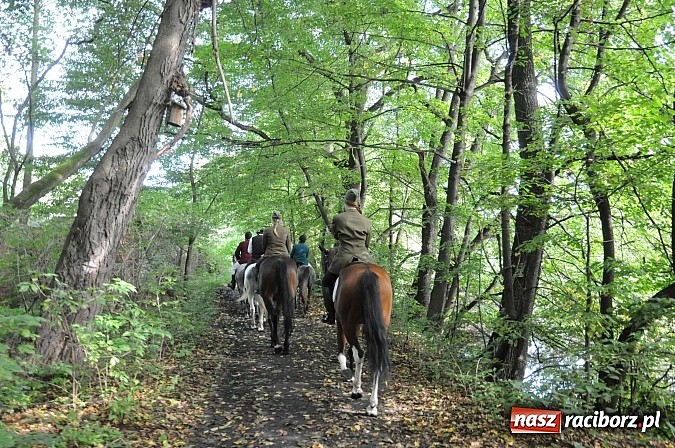Zdjęcie w galerii na portalu naszraciborz.pl: W cztery godziny przeszli Szlakiem Husarii i Sobieskiego z Raciborza do Rud wiadomości z regionu