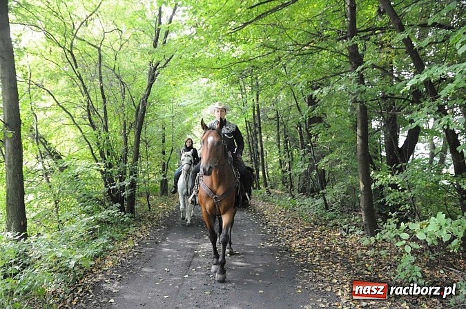 Zdjęcie w galerii na portalu naszraciborz.pl: W cztery godziny przeszli Szlakiem Husarii i Sobieskiego z Raciborza do Rud wiadomości z regionu