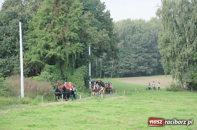 Zdjęcie w galerii na portalu naszraciborz.pl: W cztery godziny przeszli Szlakiem Husarii i Sobieskiego z Raciborza do Rud wiadomości z regionu