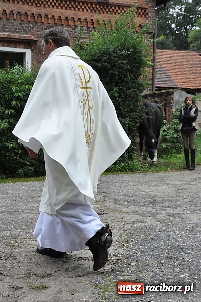 Zdjęcie w galerii na portalu naszraciborz.pl: W cztery godziny przeszli Szlakiem Husarii i Sobieskiego z Raciborza do Rud wiadomości z regionu