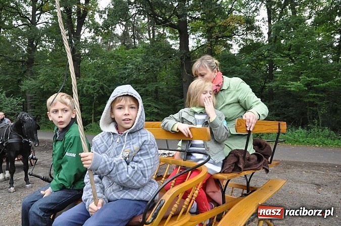 Zdjęcie w galerii na portalu naszraciborz.pl: W cztery godziny przeszli Szlakiem Husarii i Sobieskiego z Raciborza do Rud wiadomości z regionu