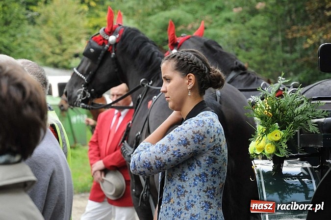 Zdjęcie w galerii na portalu naszraciborz.pl: W cztery godziny przeszli Szlakiem Husarii i Sobieskiego z Raciborza do Rud wiadomości z regionu