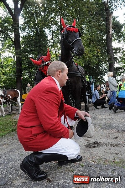 Zdjęcie w galerii na portalu naszraciborz.pl: W cztery godziny przeszli Szlakiem Husarii i Sobieskiego z Raciborza do Rud wiadomości z regionu