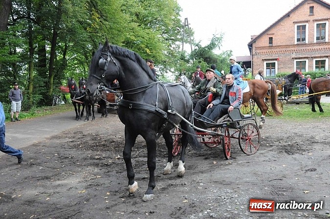 Zdjęcie w galerii na portalu naszraciborz.pl: W cztery godziny przeszli Szlakiem Husarii i Sobieskiego z Raciborza do Rud wiadomości z regionu