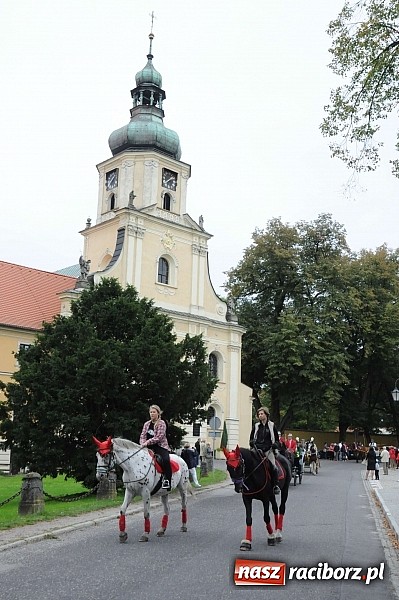 Zdjęcie w galerii na portalu naszraciborz.pl: W cztery godziny przeszli Szlakiem Husarii i Sobieskiego z Raciborza do Rud wiadomości z regionu