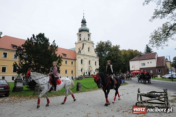 Zdjęcie w galerii na portalu naszraciborz.pl: W cztery godziny przeszli Szlakiem Husarii i Sobieskiego z Raciborza do Rud wiadomości z regionu