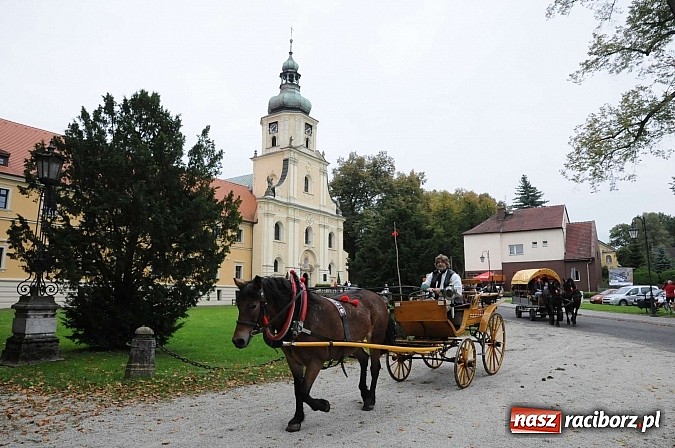 Zdjęcie w galerii na portalu naszraciborz.pl: W cztery godziny przeszli Szlakiem Husarii i Sobieskiego z Raciborza do Rud wiadomości z regionu
