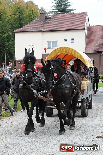 Zdjęcie w galerii na portalu naszraciborz.pl: W cztery godziny przeszli Szlakiem Husarii i Sobieskiego z Raciborza do Rud wiadomości z regionu