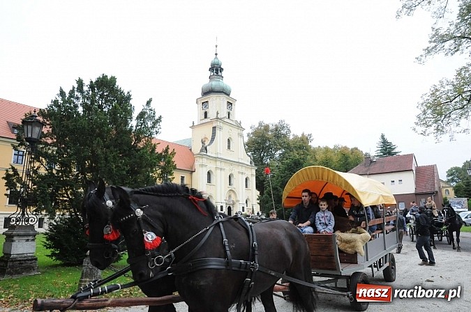Zdjęcie w galerii na portalu naszraciborz.pl: W cztery godziny przeszli Szlakiem Husarii i Sobieskiego z Raciborza do Rud wiadomości z regionu