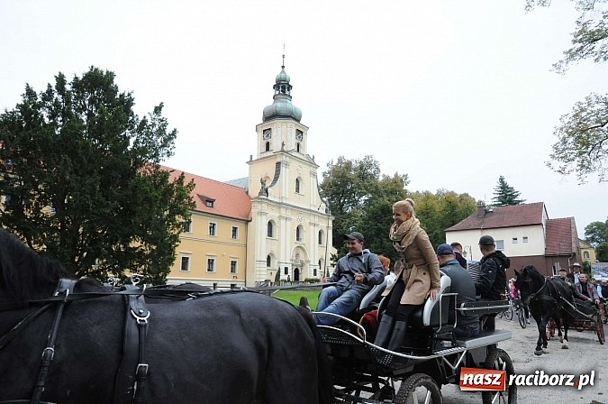Zdjęcie w galerii na portalu naszraciborz.pl: W cztery godziny przeszli Szlakiem Husarii i Sobieskiego z Raciborza do Rud wiadomości z regionu