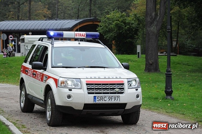 Zdjęcie w galerii na portalu naszraciborz.pl: W cztery godziny przeszli Szlakiem Husarii i Sobieskiego z Raciborza do Rud wiadomości z regionu