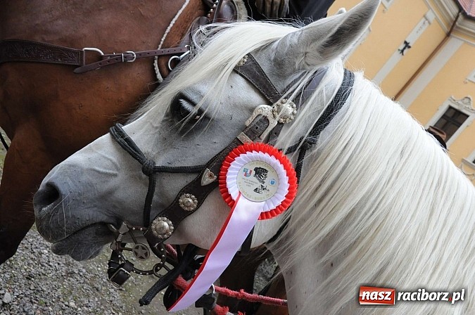 Zdjęcie w galerii na portalu naszraciborz.pl: W cztery godziny przeszli Szlakiem Husarii i Sobieskiego z Raciborza do Rud wiadomości z regionu
