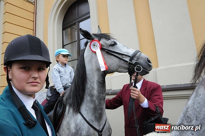 Zdjęcie w galerii na portalu naszraciborz.pl: W cztery godziny przeszli Szlakiem Husarii i Sobieskiego z Raciborza do Rud wiadomości z regionu