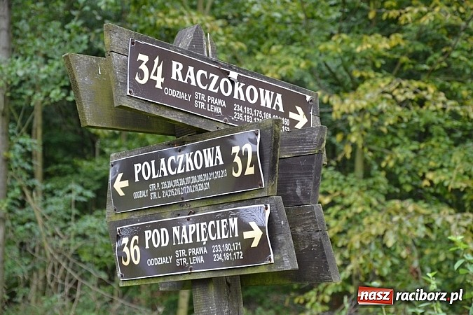 Zdjęcie w galerii na portalu naszraciborz.pl: W cztery godziny przeszli Szlakiem Husarii i Sobieskiego z Raciborza do Rud wiadomości z regionu