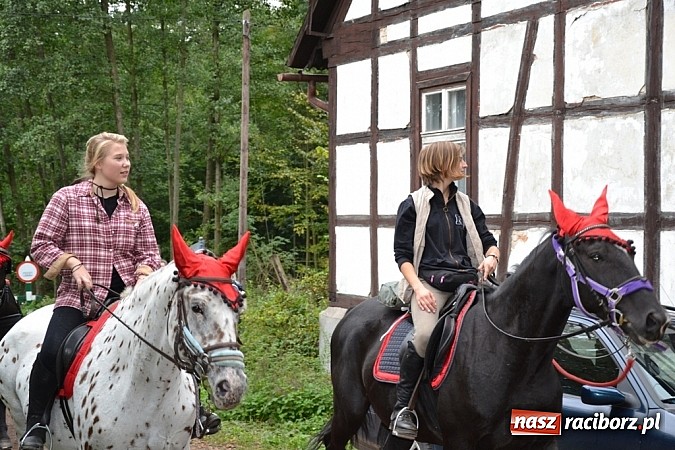 Zdjęcie w galerii na portalu naszraciborz.pl: W cztery godziny przeszli Szlakiem Husarii i Sobieskiego z Raciborza do Rud wiadomości z regionu