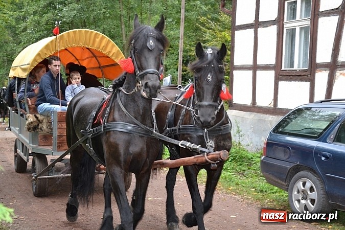 Zdjęcie w galerii na portalu naszraciborz.pl: W cztery godziny przeszli Szlakiem Husarii i Sobieskiego z Raciborza do Rud wiadomości z regionu