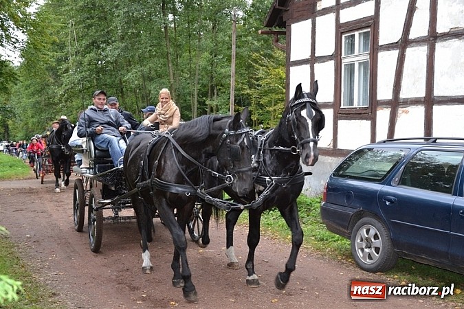 Zdjęcie w galerii na portalu naszraciborz.pl: W cztery godziny przeszli Szlakiem Husarii i Sobieskiego z Raciborza do Rud wiadomości z regionu