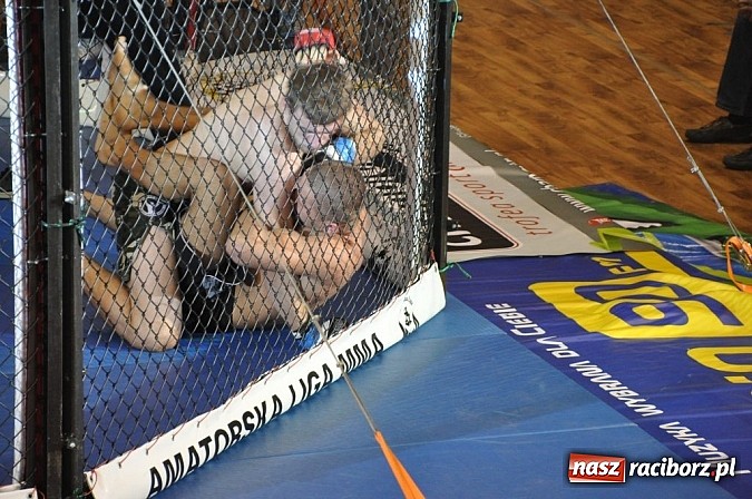 Zdjęcie w galerii na portalu naszraciborz.pl: Adrenalina Fight już za nami wiadomości z regionu