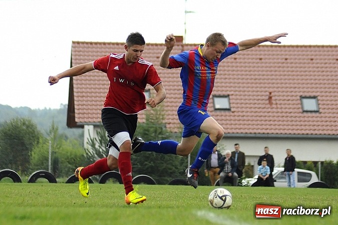 Zdjęcie w galerii na portalu naszraciborz.pl: Zameczek spłonął w kobylskim Płomieniu wiadomości z regionu