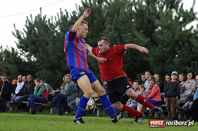 Zdjęcie w galerii na portalu naszraciborz.pl: Zameczek spłonął w kobylskim Płomieniu wiadomości z regionu