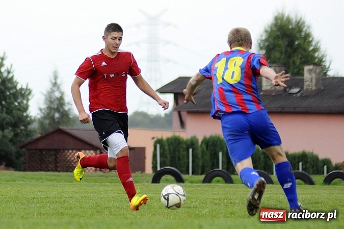 Zdjęcie w galerii na portalu naszraciborz.pl: Zameczek spłonął w kobylskim Płomieniu wiadomości z regionu