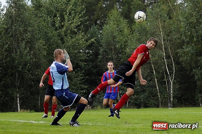 Zdjęcie w galerii na portalu naszraciborz.pl: Zameczek spłonął w kobylskim Płomieniu wiadomości z regionu