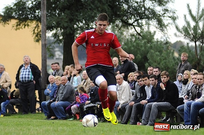 Zdjęcie w galerii na portalu naszraciborz.pl: Zameczek spłonął w kobylskim Płomieniu wiadomości z regionu