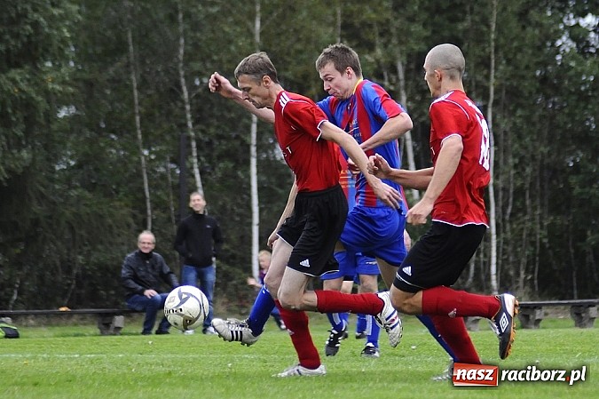 Zdjęcie w galerii na portalu naszraciborz.pl: Zameczek spłonął w kobylskim Płomieniu wiadomości z regionu