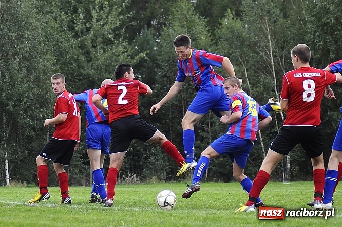 Zdjęcie w galerii na portalu naszraciborz.pl: Zameczek spłonął w kobylskim Płomieniu wiadomości z regionu