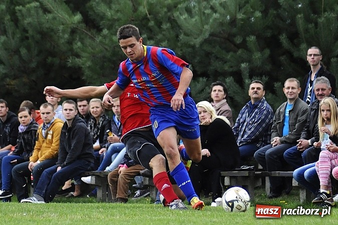 Zdjęcie w galerii na portalu naszraciborz.pl: Zameczek spłonął w kobylskim Płomieniu wiadomości z regionu