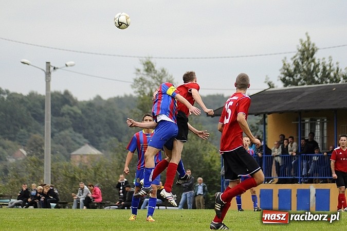 Zdjęcie w galerii na portalu naszraciborz.pl: Zameczek spłonął w kobylskim Płomieniu wiadomości z regionu