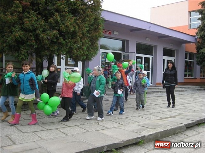 Zdjęcie w galerii na portalu naszraciborz.pl: EkoElfy z SP 15 znowu maszerują wiadomości z regionu