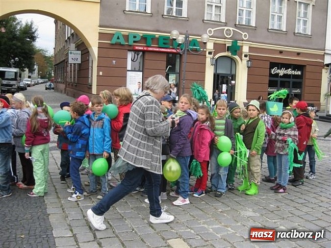 Zdjęcie w galerii na portalu naszraciborz.pl: EkoElfy z SP 15 znowu maszerują wiadomości z regionu