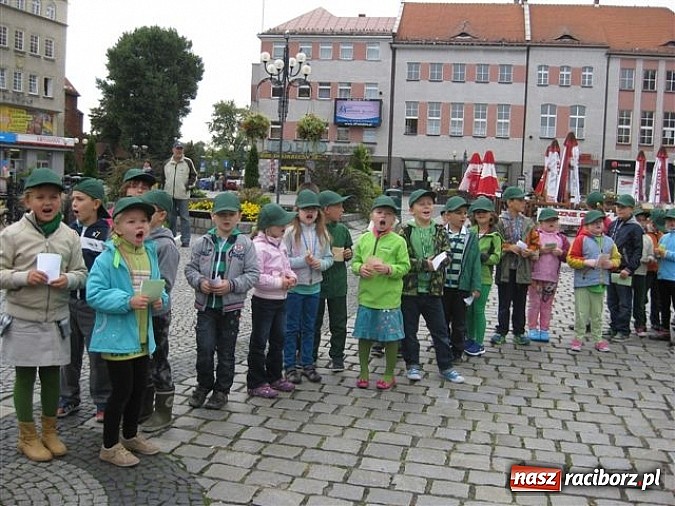 Zdjęcie w galerii na portalu naszraciborz.pl: EkoElfy z SP 15 znowu maszerują wiadomości z regionu