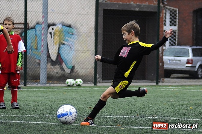 Zdjęcie w galerii na portalu naszraciborz.pl: Młode Wilki wygrywają mecz za meczem wiadomości z regionu