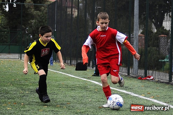 Zdjęcie w galerii na portalu naszraciborz.pl: Młode Wilki wygrywają mecz za meczem wiadomości z regionu