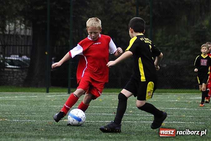 Zdjęcie w galerii na portalu naszraciborz.pl: Młode Wilki wygrywają mecz za meczem wiadomości z regionu