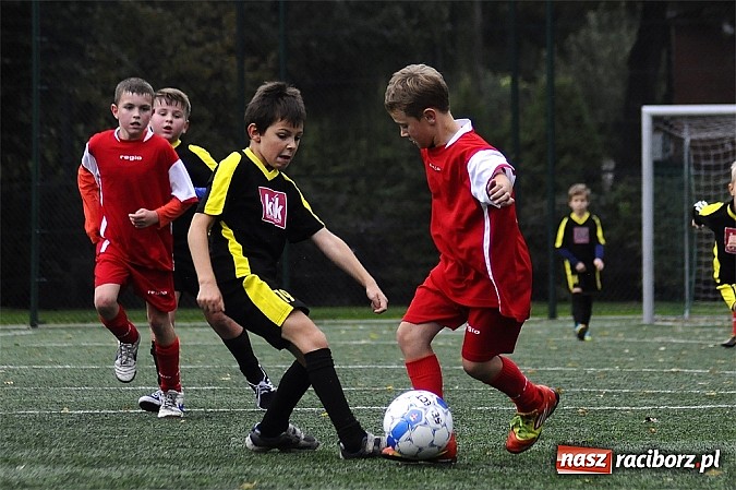 Zdjęcie w galerii na portalu naszraciborz.pl: Młode Wilki wygrywają mecz za meczem wiadomości z regionu