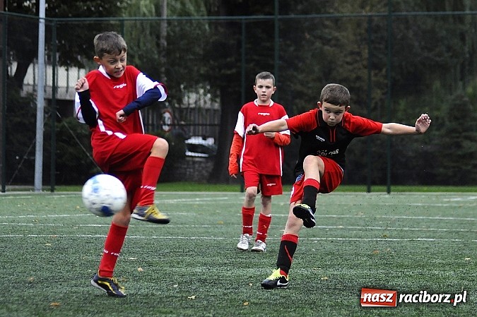 Zdjęcie w galerii na portalu naszraciborz.pl: Młode Wilki wygrywają mecz za meczem wiadomości z regionu