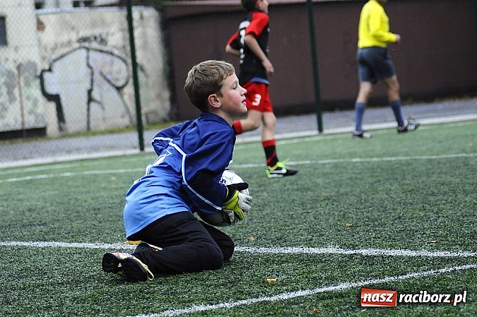 Zdjęcie w galerii na portalu naszraciborz.pl: Młode Wilki wygrywają mecz za meczem wiadomości z regionu